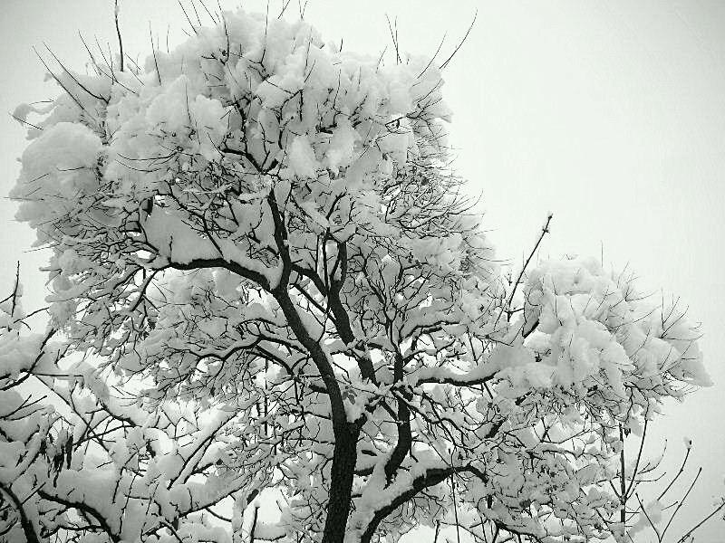 Panorami innevati